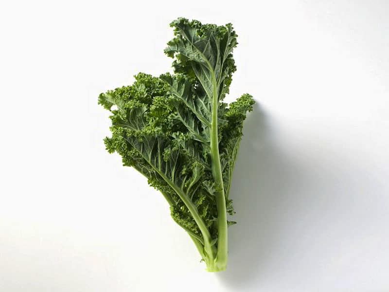 Kale foto: gtresonline