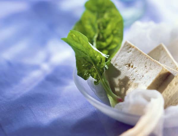 El tofu es un alimento con muchísimas propiedades, perfecto para sustituir los lácteos. Foto:gtres