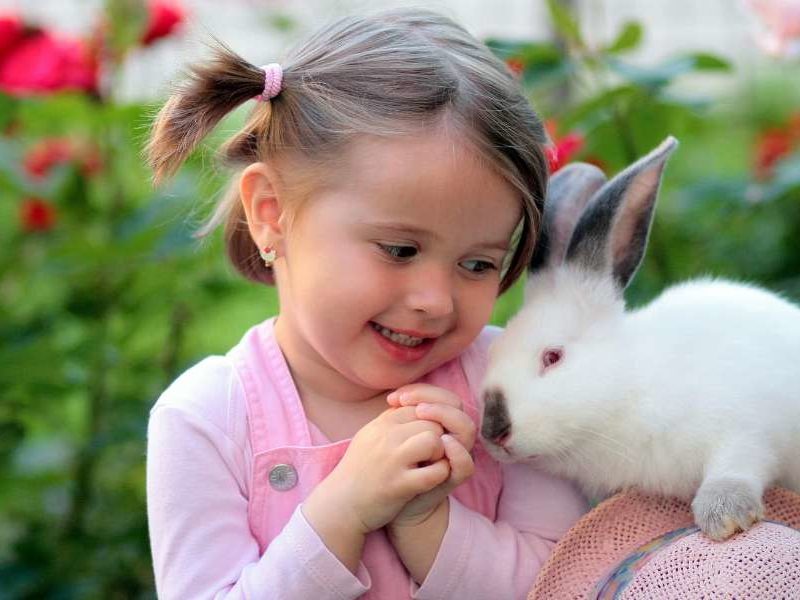 niña con conejo